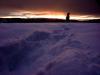 Cold Color Cold Color