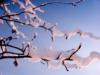 Back to ice and snow Back to ice and snow