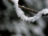 Snow Lace Snow Lace