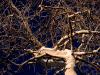 Twisted Twisted