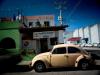 Land of the bug Land of the bug