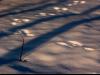 Paths Paths