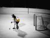 Goalie Goalie