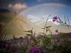 The rainbow. . . The rainbow. . .