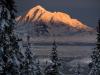 The mountain through the trees. . . The mountain through the trees. . .